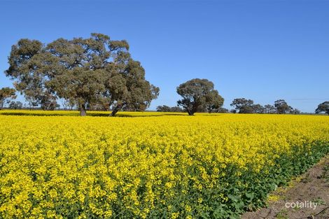 663 Kerang-Quambatook Rd, Wandella, VIC 3579