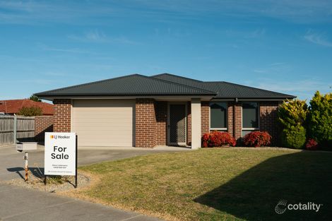 Property photo of 8 Mill Court St Helens TAS 7216