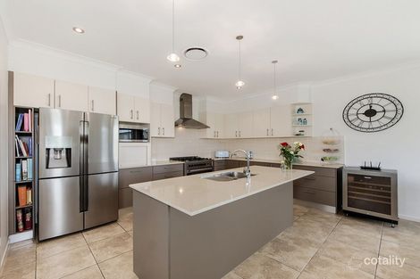 Property photo of 3 Wilcox Close Reedy Creek QLD 4227