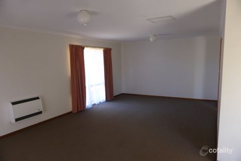 Property photo of 45 Flamingo Drive Mildura VIC 3500