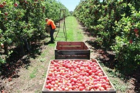 Property photo of 120 Bathurst Road Orange NSW 2800