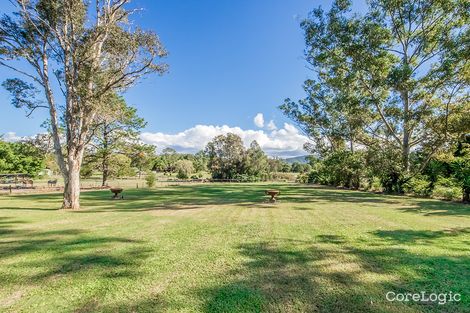 Property photo of 31 Ruth Terrace Oxenford QLD 4210