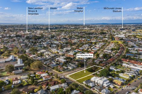 Property photo of 64 Mackie Avenue New Lambton NSW 2305
