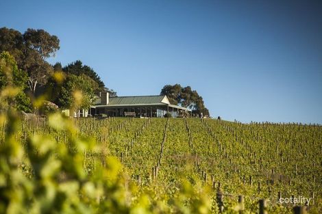 53 Shoreham Rd, Red Hill South, VIC 3937