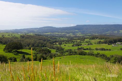 164 North Curramore Rd, Curramore, NSW 2533