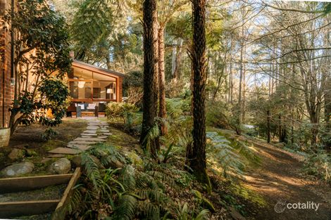 Property photo of 9 Roy Road Olinda VIC 3788