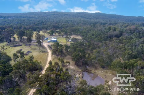 2474 Torrington Rd, Torrington, NSW 2371