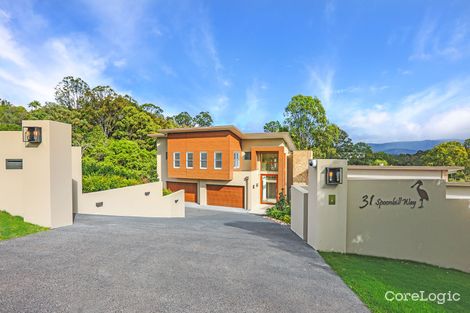 Property photo of 31 Spoonbill Way Mudgeeraba QLD 4213