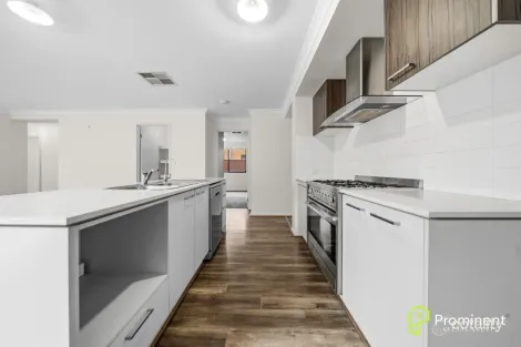 Property photo of 11 Cottle Drive Clyde VIC 3978