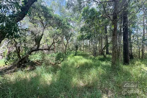 Property photo of LOT 140 Daniel Road Bauple QLD 4650