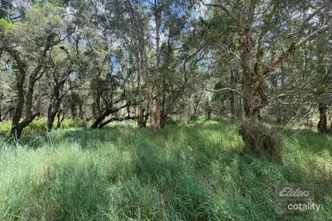 Property photo of LOT 140 Daniel Road Bauple QLD 4650