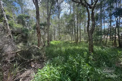 Property photo of LOT 140 Daniel Road Bauple QLD 4650