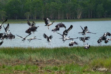 445 Chinner Rd, Lake Bennett, NT 0822