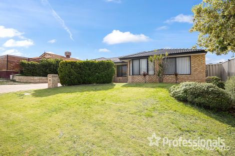 Property photo of 6 Everest Way Alexander Heights WA 6064