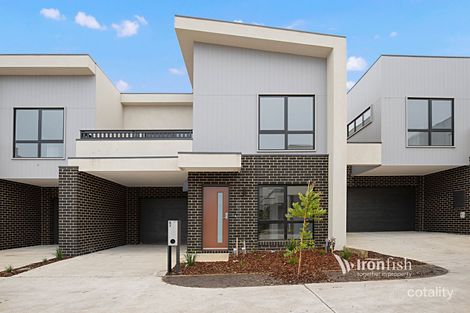 97 Fusion Cct, Cranbourne West, VIC 3977