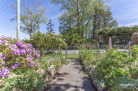 Property photo of 42 Mountain River Road Grove TAS 7109