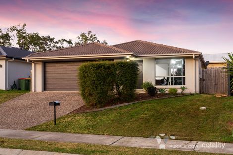 55 Cornelius Dr, Augustine Heights, QLD 4300