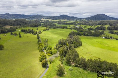 Property photo of 331 North Island Loop Road Upper Orara NSW 2450