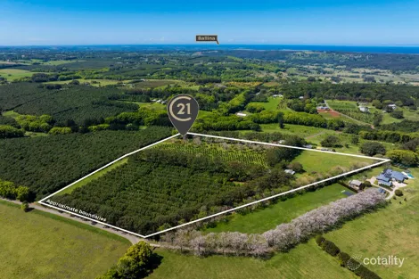 181 Cooks Lane, Dalwood, NSW 2477