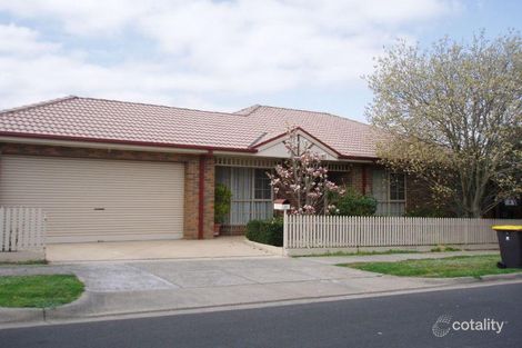 Property photo of 60 Howard Avenue Mount Waverley VIC 3149