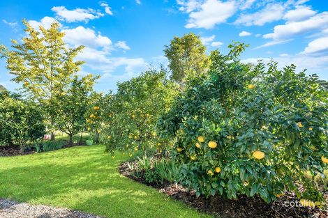 Property photo of 101 Cattai Ridge Road Glenorie NSW 2157