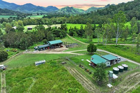 61 Kanes Rd, Owens Creek, QLD 4741