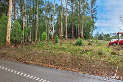 Property photo of 212 Emerald-Monbulk Road Monbulk VIC 3793