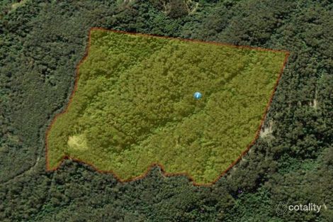 Property photo of 568 Padmans Road Elands NSW 2429