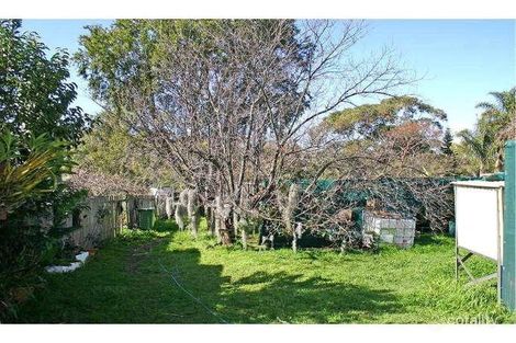 Property photo of 48 Novara Crescent Como NSW 2226