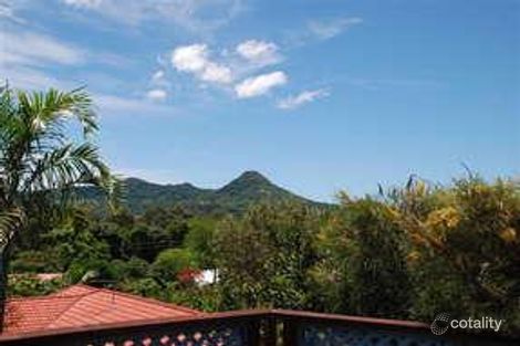 Property photo of 19 Golden Penda Place Mullumbimby NSW 2482