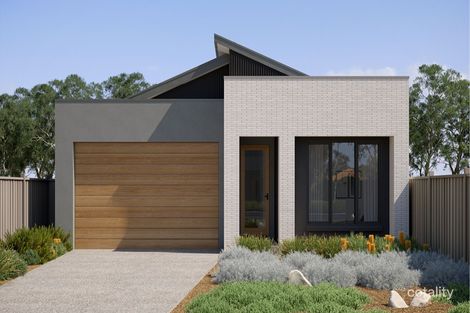 20 Natal Pl, Ocean Grove, VIC 3226