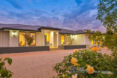 Property photo of 804 Karadoc Avenue Irymple VIC 3498