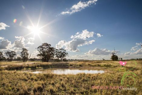 Property photo of 400 Newell Highway Gilgandra NSW 2827