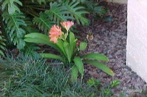 14 Banksia St, Redland Bay, QLD 4165