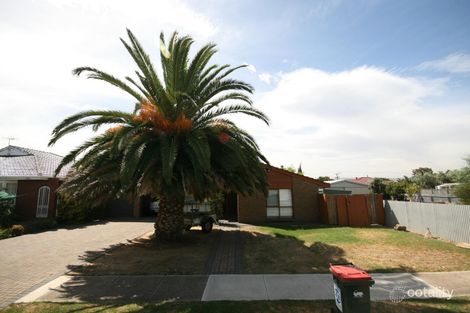 49 Lorraine Ave, Lockleys, SA 5032