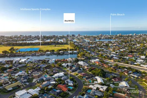 11 Hopbush St, Palm Beach, QLD 4221