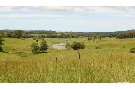 Property photo of 565 Lower Buckra Bendinni Road Buckra Bendinni NSW 2449