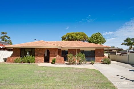 78 Warrandyte Dr, Craigie, WA 6025