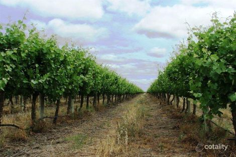 Lot 37 Schenscher Rd, Moorook, SA 5332