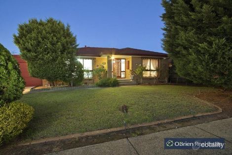 119 Shetland St, Endeavour Hills, VIC 3802