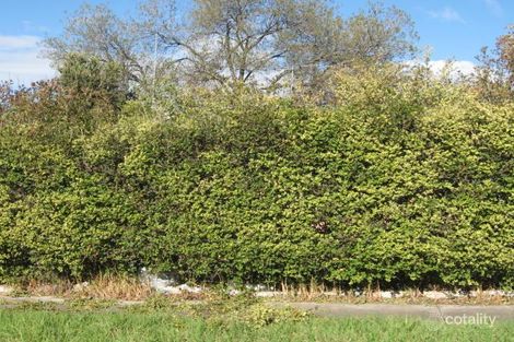 Property photo of 35 Waranga Crescent Broadmeadows VIC 3047