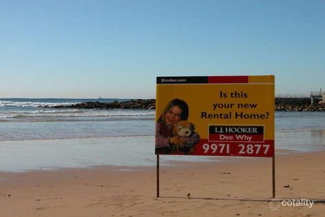 Property photo of 38 Gardere Avenue Curl Curl NSW 2096