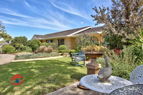 Property photo of 36 Gray Street Freeling SA 5372