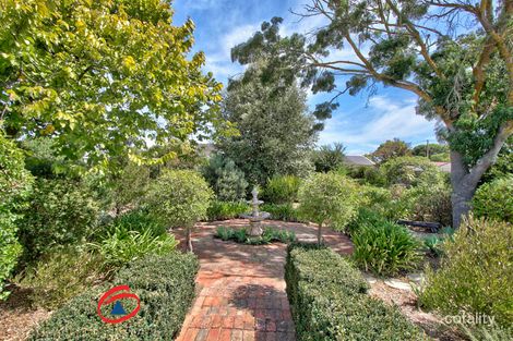 Property photo of 36 Gray Street Freeling SA 5372
