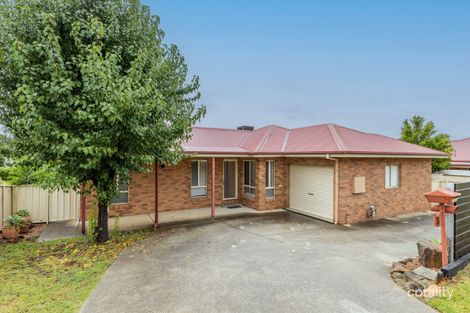 8 Chatterton Pl, West Albury, NSW 2640