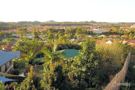 Property photo of 12 Cedar Ridge Banora Point NSW 2486