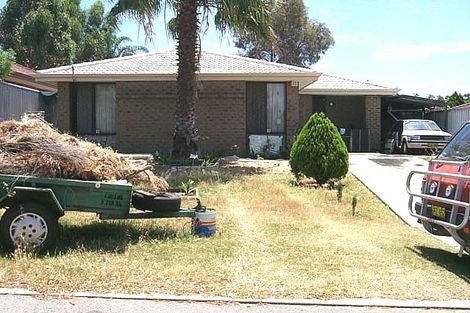 40 Dampier Loop, Mirrabooka, WA 6061