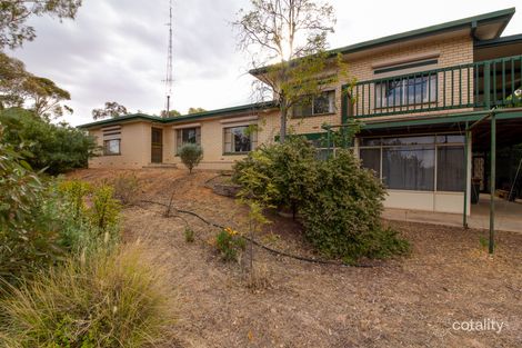 13 Omalley St, Berri, SA 5343