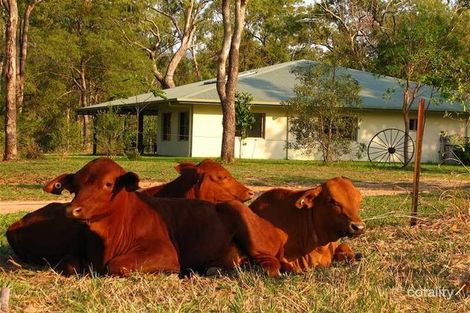 Property photo of LOT 15 Oaky Valley Avenue Mutchilba QLD 4872