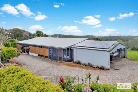 1662 Millaa Millaa Malanda Rd, Jaggan, QLD 4885